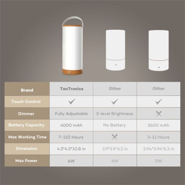 NAMIZNA SVETILKA TAOTRONICS TT-DL23 LED PRENOSNA