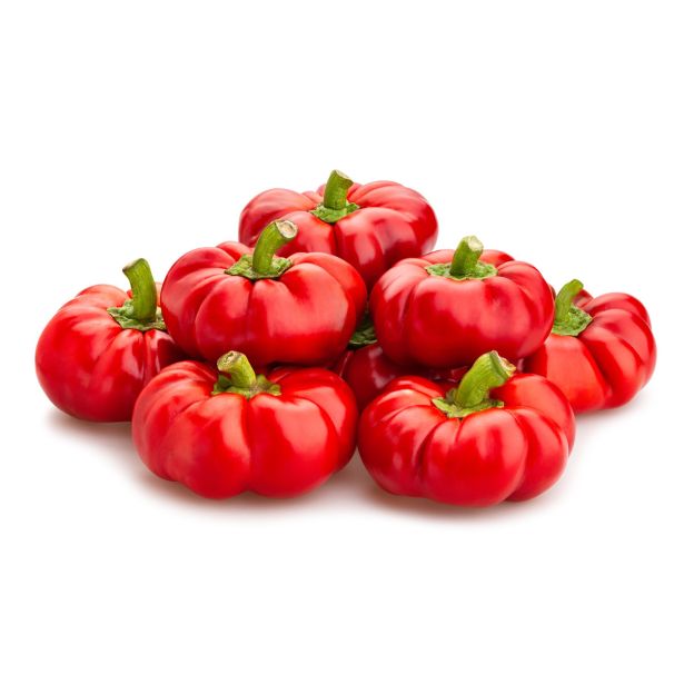 PLODOVKE L'ORTO FRUTTIFERO PAPRIKA POLNJENJE 1/1 TOPEPO ROSSO L10