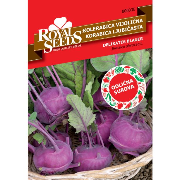 SEME VRTNINE ROYAL SEEDS KOLERABICA VIJOLIČNA 36