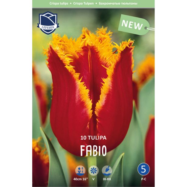 TULIPANI FABIO