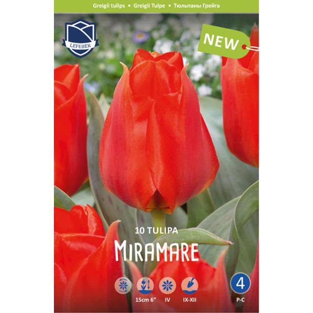 TULIPANI MIRAMARE