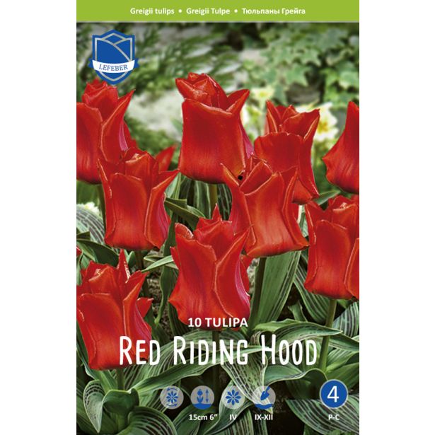 TULIPANI RED RIDING HOOD (ROODKAPJE)