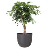 PE ZUNANJI LONEC HAVANA NATURAL VOLCANO 30CM