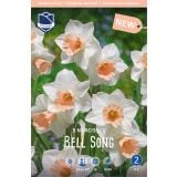 NARCISE BELL SONG