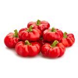 PLODOVKE L'ORTO FRUTTIFERO PAPRIKA POLNJENJE 1/1 TOPEPO ROSSO L10