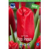 TULIPANI RED PROUD