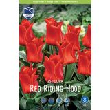 TULIPANI RED RIDING HOOD