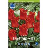 TULIPANI RED RIDING HOOD (ROODKAPJE)