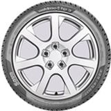 ZIMSKA GUMA SAVA TIRES 205/50R17 93V XL FR ESKIMO HP2 DOTXX24