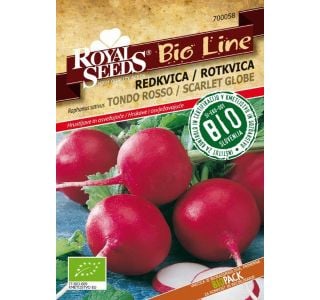 KORENOVKA ROYAL SEEDS REDKEV LUNGO BIANCO