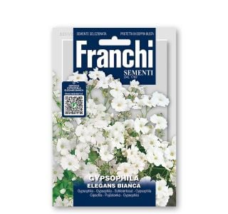 OGNJIČ FRANCHI SEMENTI GYPSOPHILA BIANCA