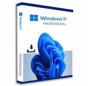 PROGRAMSKA OPREMA MICROSOFT MS 1X WIN 11 PRO 64BIT DVD OEM (EN)