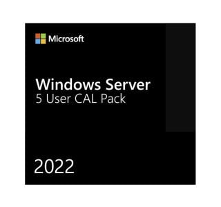 PROGRAMSKA OPREMA MICROSOFT MS 1X WIN SERVER CAL 2022 5 CLT UCAL(GB)