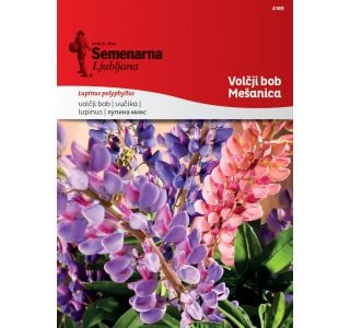 SEME CVETOČE RASTLINE SEMENARNA VOLČNJI BOB - MIX 4189 (LUPINUS POLYPHYLLUS)