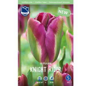 NIGHT RIDER 10 KOS