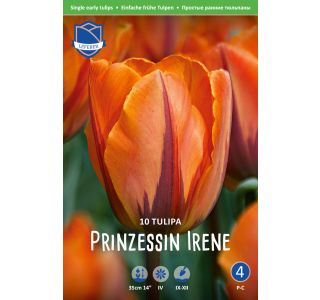 PRINZESSE IRENE 10 KOS