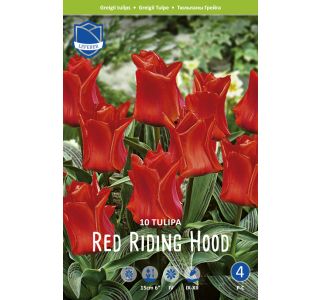 RED RIDING HOOD 10 KOS